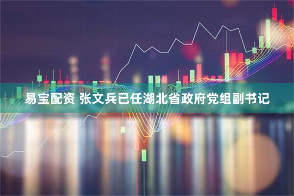 易宝配资 张文兵已任湖北省政府党组副书记