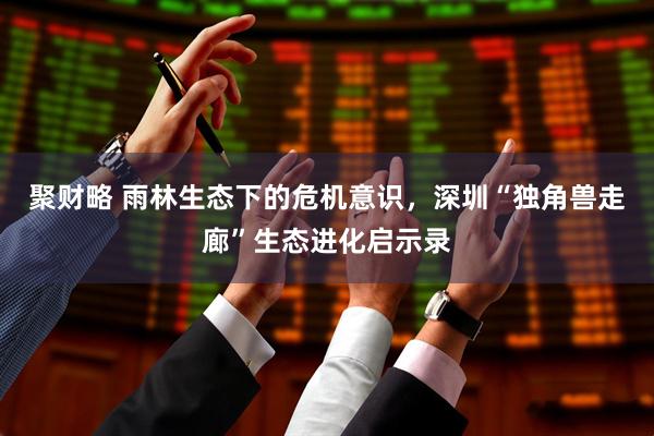 聚财略 雨林生态下的危机意识，深圳“独角兽走廊”生态进化启示录