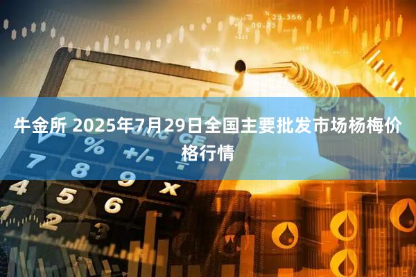 牛金所 2025年7月29日全国主要批发市场杨梅价格行情
