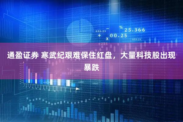 通盈证券 寒武纪艰难保住红盘，大量科技股出现暴跌