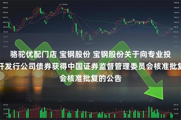 骆驼优配门店 宝钢股份 宝钢股份关于向专业投资者公开发行公司债券获得中国证券监督管理委员会核准批复的公告